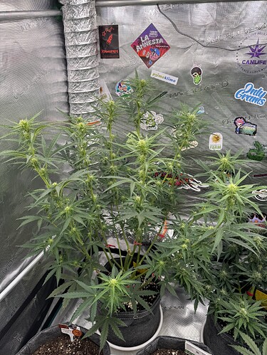 Growreport Bild 14