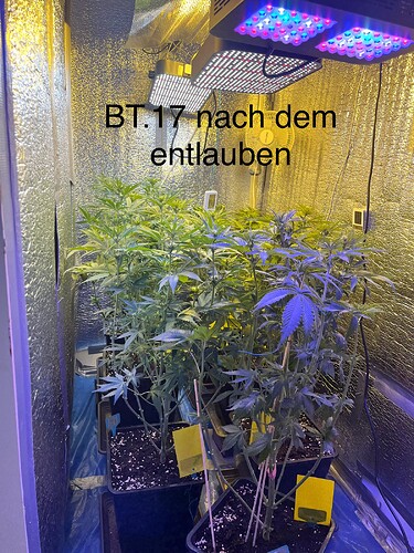 Growreport Bild 20
