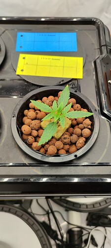 IMG_20240817_024836