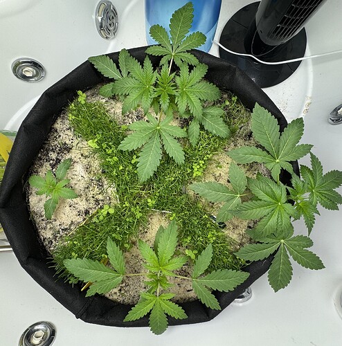 Growreport Bild 9