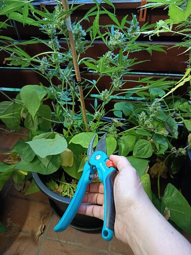 Growreport Bild 13