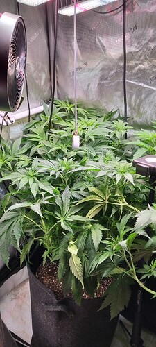 Growreport Bild 10