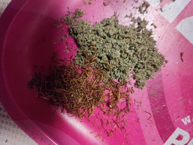 Growreport Bild 3