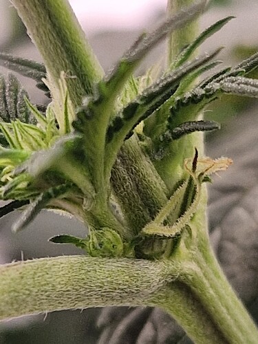 Growreport Bild 18