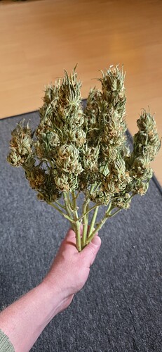 Growreport Bild 46