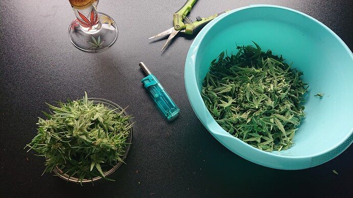 Growreport Bild 4