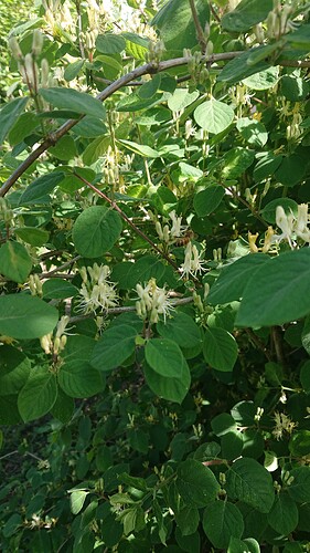 Growreport Bild 38