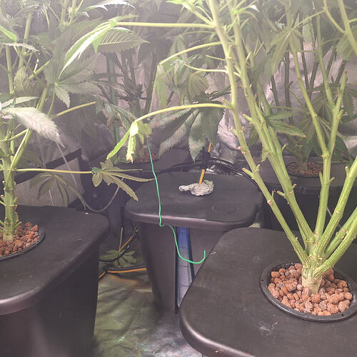 Growreport Bild 2