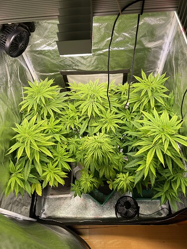 ac1207bb568e56ce1da13115ffafe4844c90e687