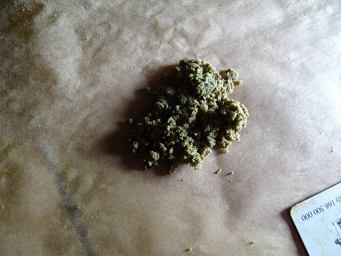 Growreport Bild 34
