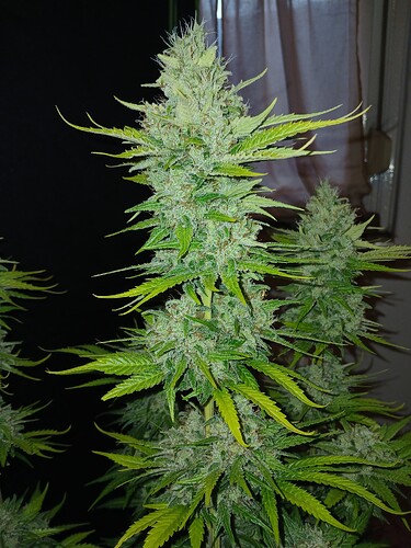 Growreport Bild 10