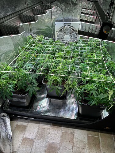 Growreport Bild 14