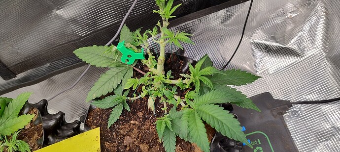 IMG_20250928_092231383_HDR