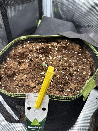 Growreport Bild 4