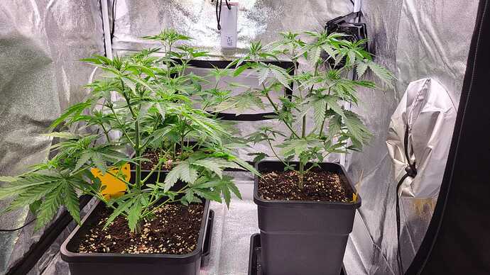 Growreport Bild 22
