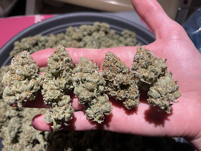 Growreport Bild 20