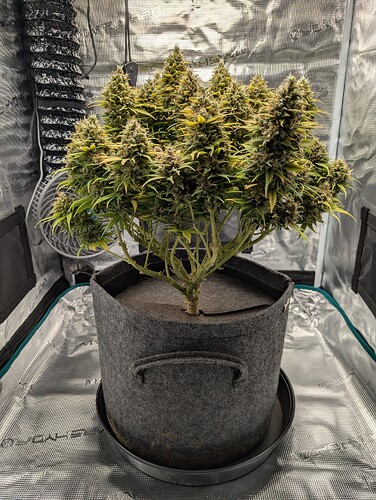 Growreport Bild 7