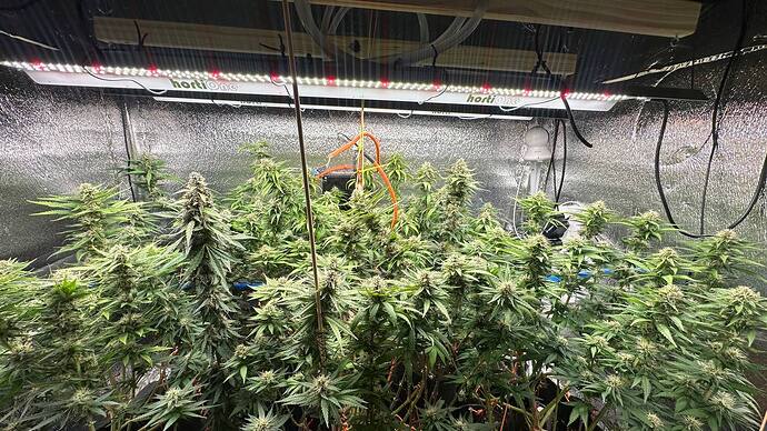 341e8323-fb49-4645-92c3-83454115b61c