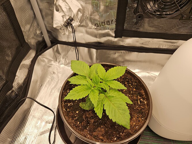 Growreport Bild 14