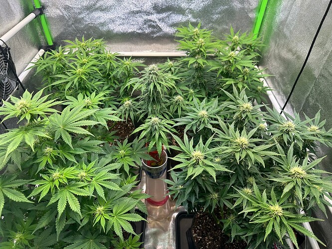 Growreport Bild 3