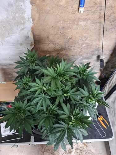 Growreport Bild 10