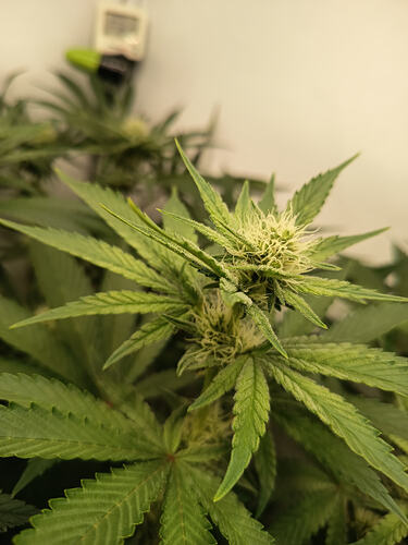 Growreport Bild 15