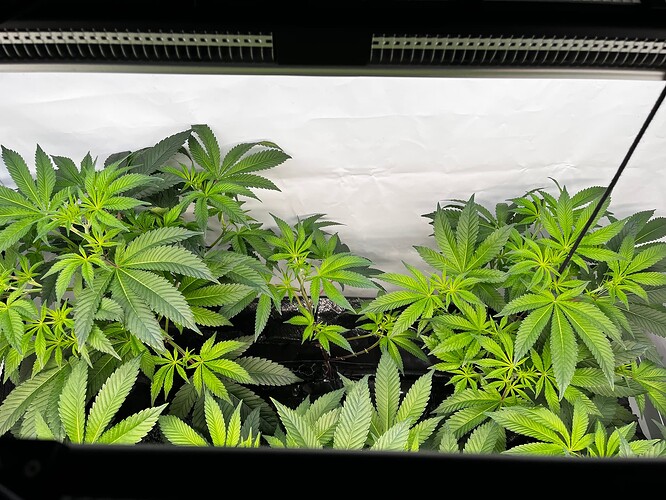 Growreport Bild 12