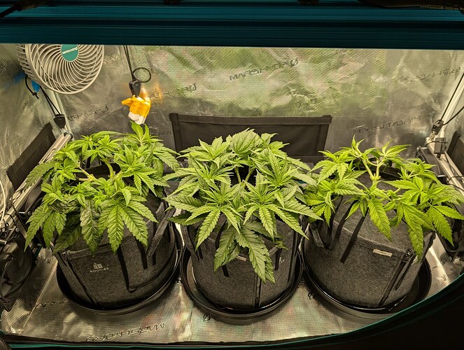 Growreport Bild 11