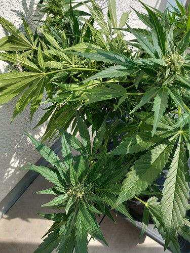 Growreport Bild 17