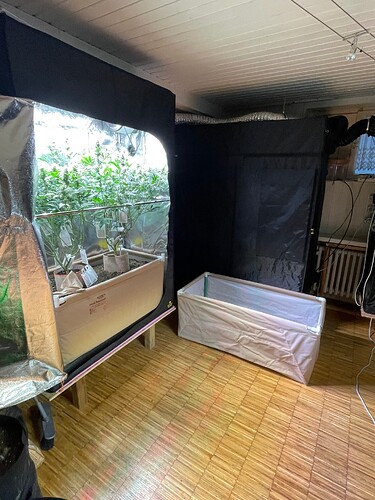 Growreport Bild 11