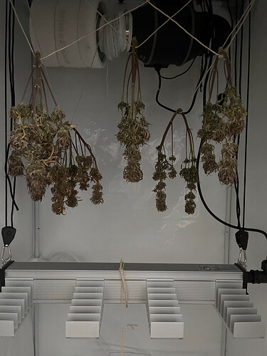 Growreport Bild 1