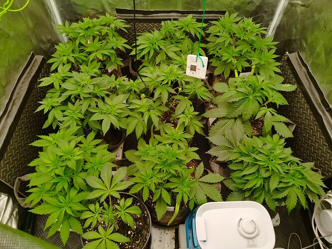 Growreport Bild 4