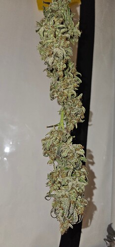 Growreport Bild 17