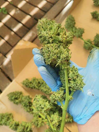 Growreport Bild 17