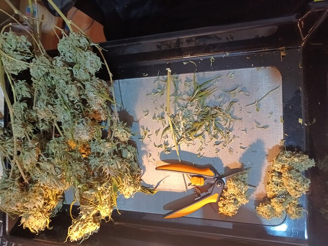Growreport Bild 1