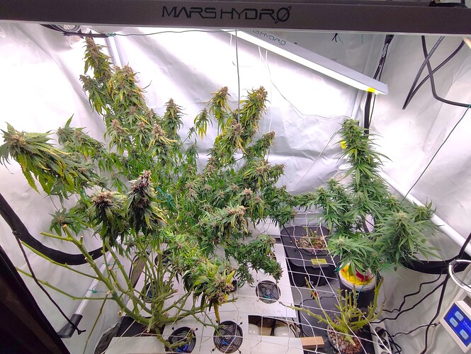 Growreport Bild 9