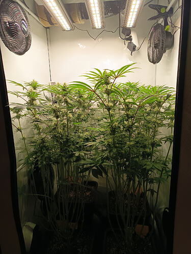 Growreport Bild 24