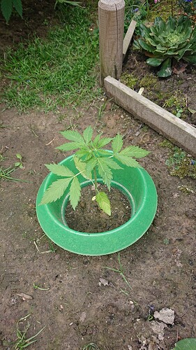 Growreport Bild 15