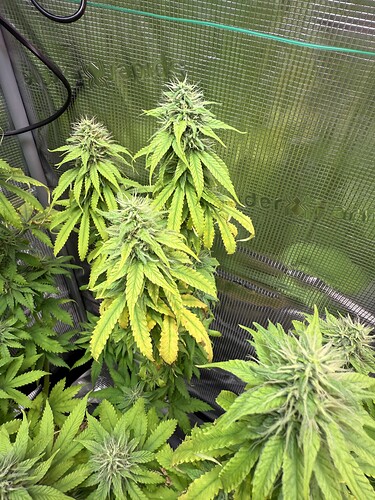 Growreport Bild 34