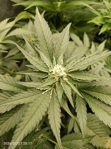 Growreport Bild 18