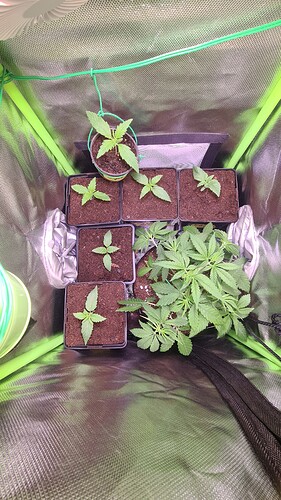 Growreport Bild 16
