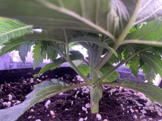 Growreport Bild 16