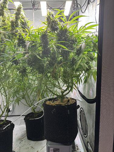 Growreport Bild 10