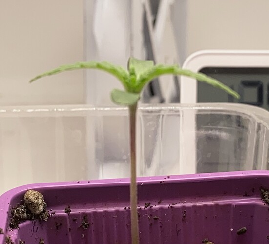 Growreport Bild 7