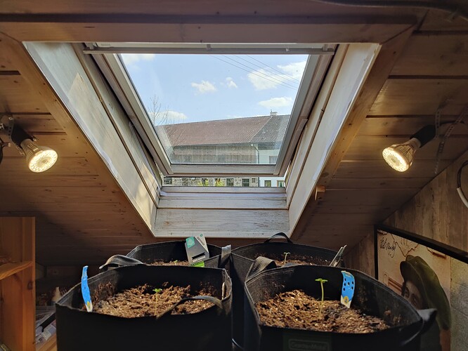 Growreport Bild 7