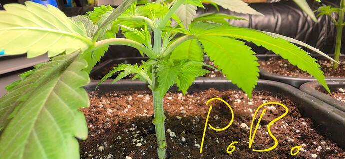 Growreport Bild 7