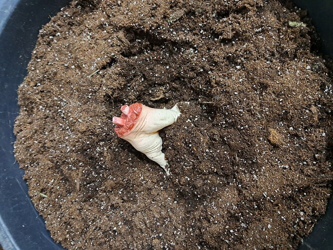 Growreport Bild 38