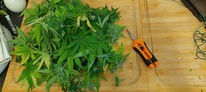 Growreport Bild 2