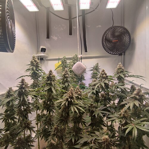 Growreport Bild 1