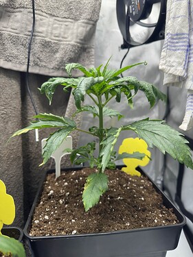 Growreport Bild 23